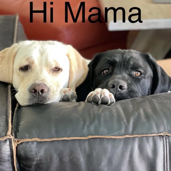 Quick list item - Picture 7 of 7